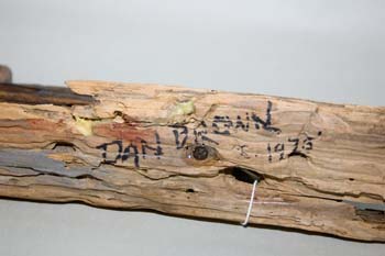 Dan Brown