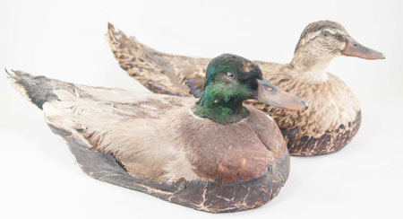 Decoys deluxe