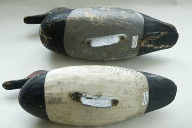 Doug Jester Canvasback Pair